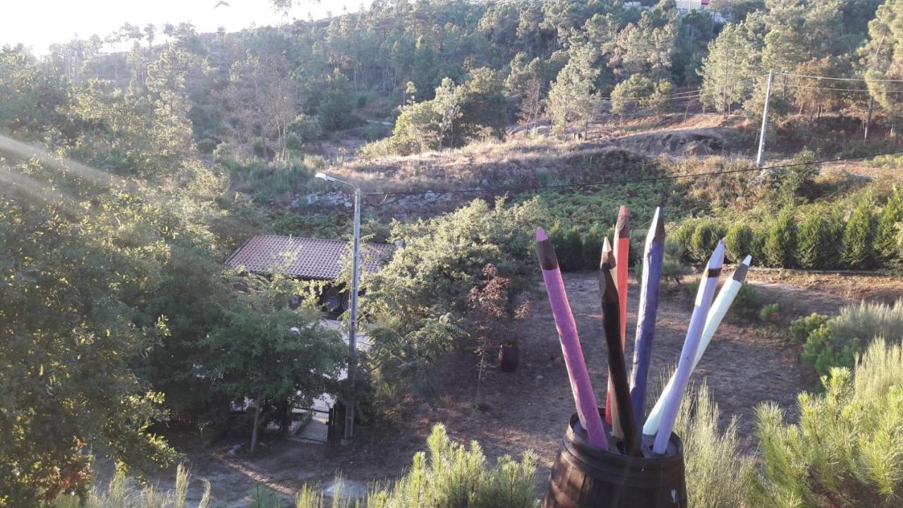 Pinhawood Villa Resende Bagian luar foto